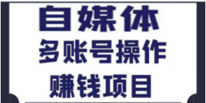 自媒体赚钱项目（百家号，头条号，大鱼号，趣头条）从0到1，新手号到收益，批量玩法