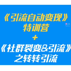 《引流自动变现》特训营+《社群裂变&引流》之转转引流（两套课程）