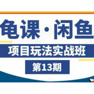 龟课·闲鱼项目玩法实战班第13期，轻松玩转闲鱼，多渠道多方法引流到私域流量池！