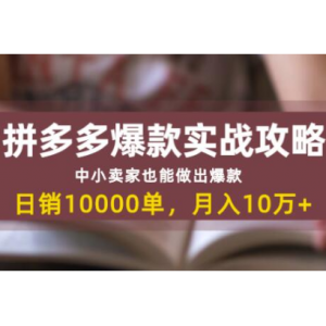 拼多多爆款实战攻略：中小卖家也能做出爆款，日销10000单月入10w+